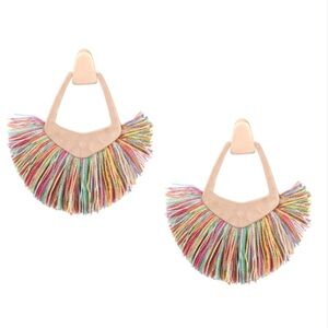 Multicolor Fringe Earrings